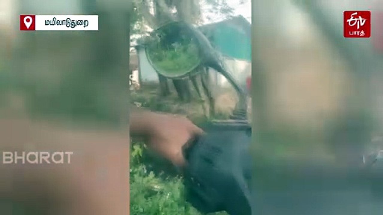 வீட்டில் சாராயம் காய்ச்சி விற்பனை: போலீஸ் அதிரடி