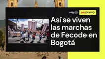 🔴 EN VIVO: Marchas del paro de maestros, hay desacuerdo con el Gobierno por ley estatutaria | Pulzo