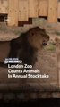 London Zoo Counts Animals In Annual Stocktake