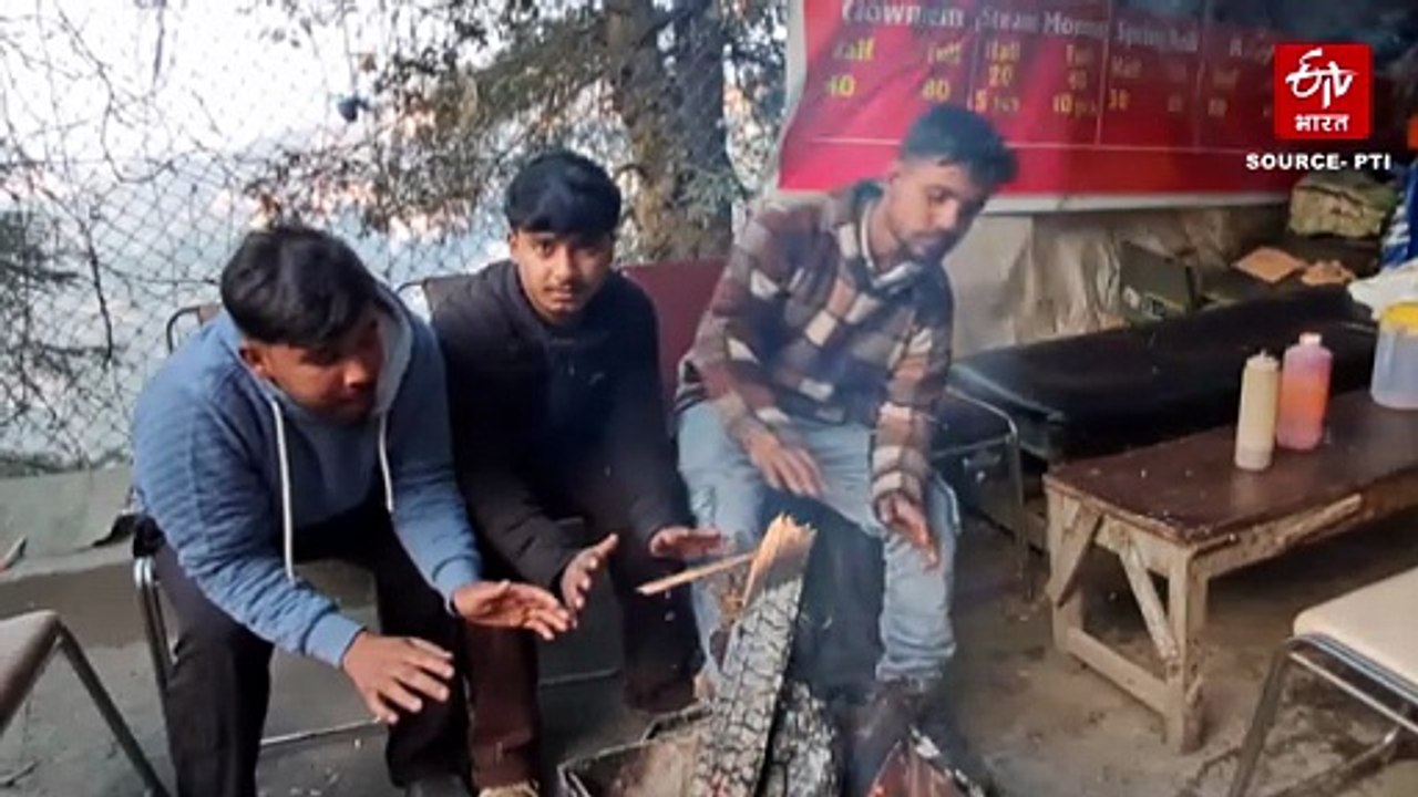 उत्तर भारत में सर्दी का सितम जारी, घना कोहरा, क...