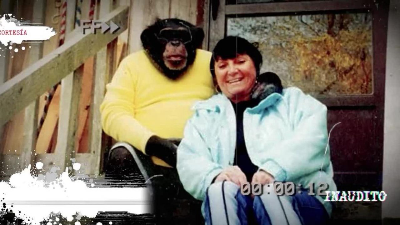 La terrible historia de Charla Nash, la mujer a la que un chimpancé le arrancó la cara