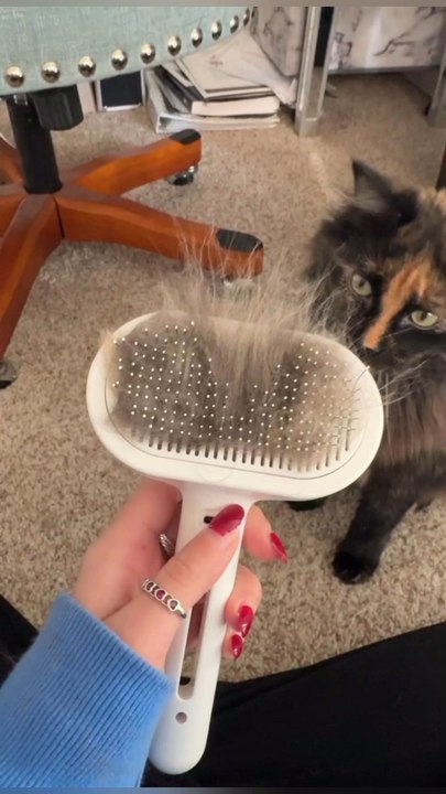 ⚠️ Dry fur = knots, pain & shedding💧 One spray, one comb, clean grooming done🛒 Get yours today!