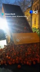 Potimarrons et patates douces deverses devant la Préfecture du Gard à Nîmes