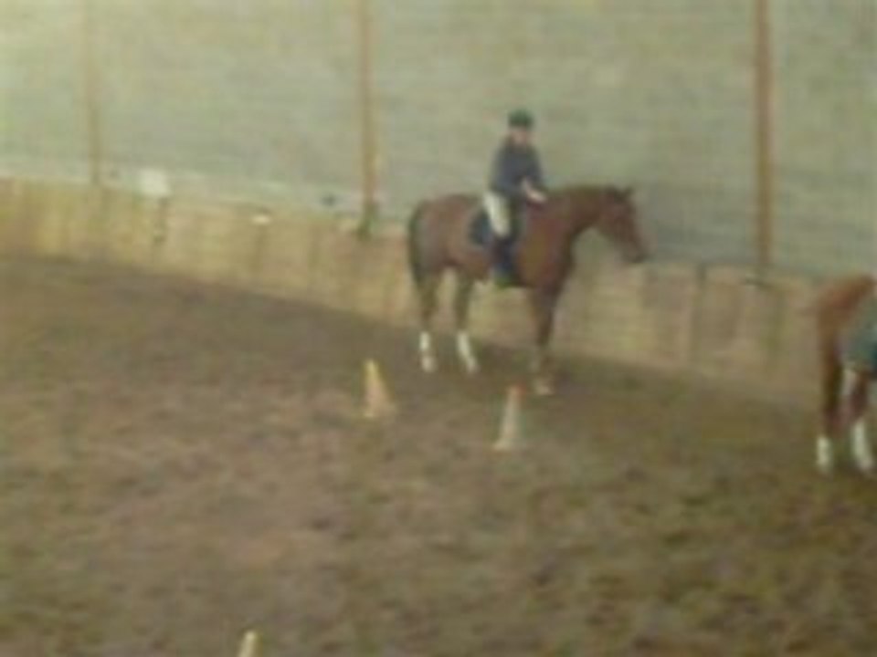 ChEvAl