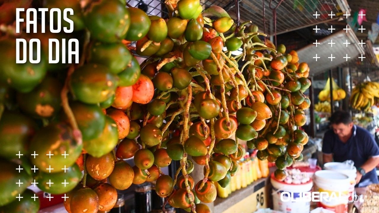 Safra da pupunha começa em Belém e anima vendedores com expectativa de alta nas vendas em janeiro