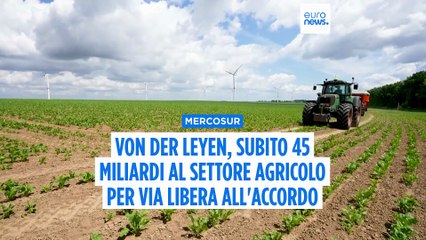 Von der Leyen, subito 45 miliardi al settore agricolo per il via libera all'accordo con il Mercosur