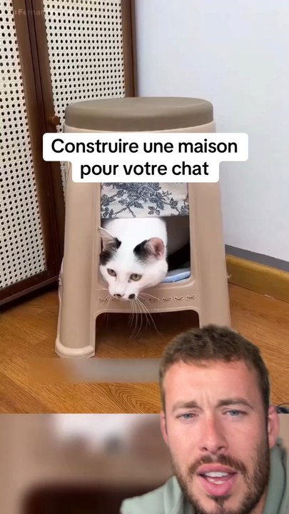 C’est génial !