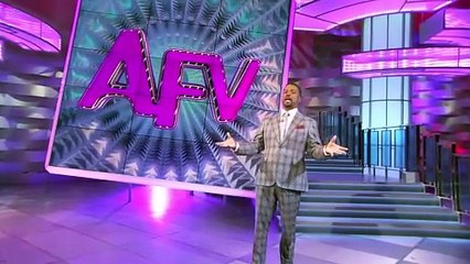 America's Funniest Home Videos - Season 36 Episode 11 - Animals Being Jerks, Name That Sound, and What Are the Odds?