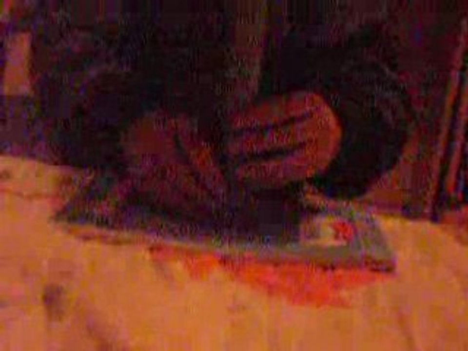 DSCN8447