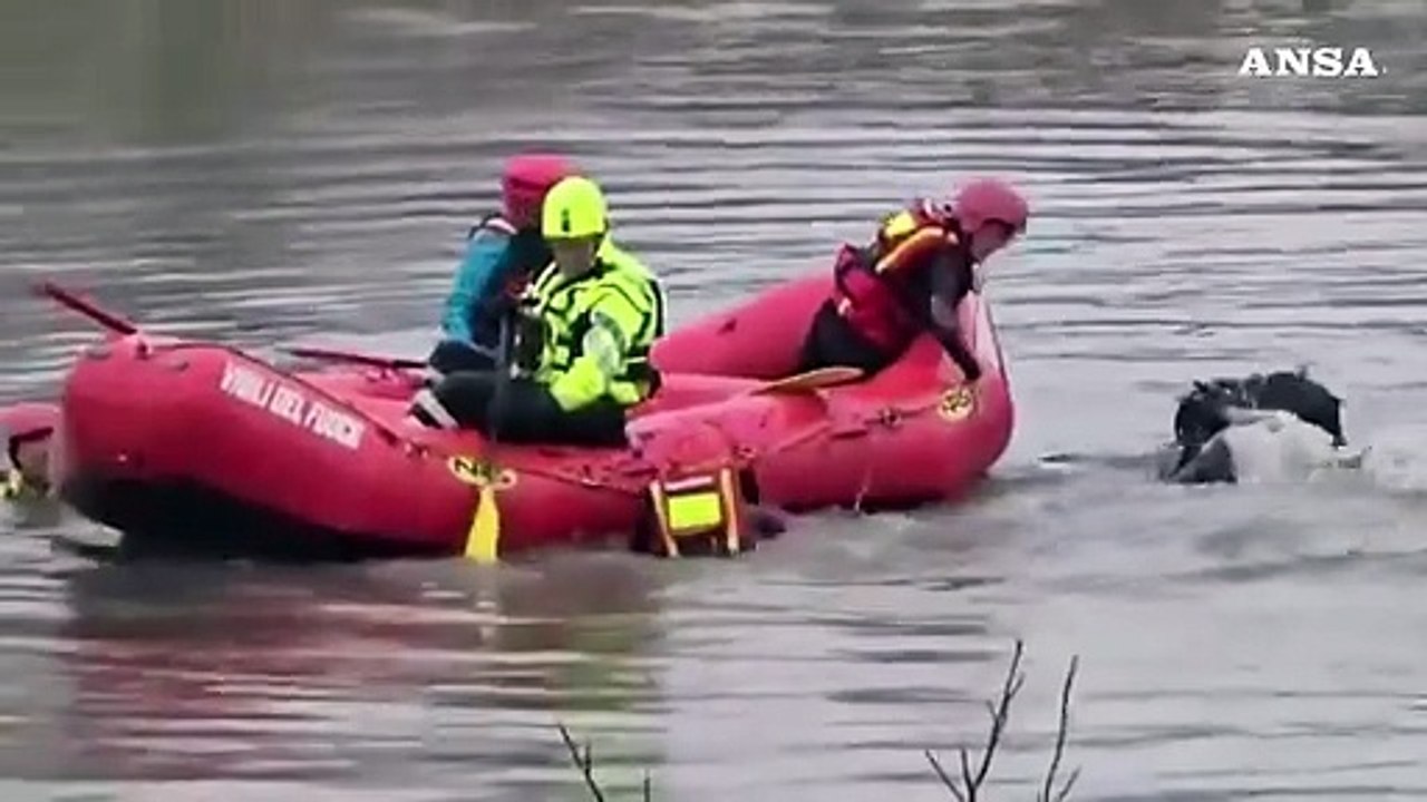 Esonda a Roma il fiume Aniene, i vigili del fuoco mettono in sicurezza gli animali