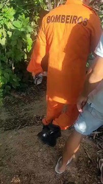 Bombeiros encontram corpo de mulher em estado de decomposição em bosque, em Arapiraca