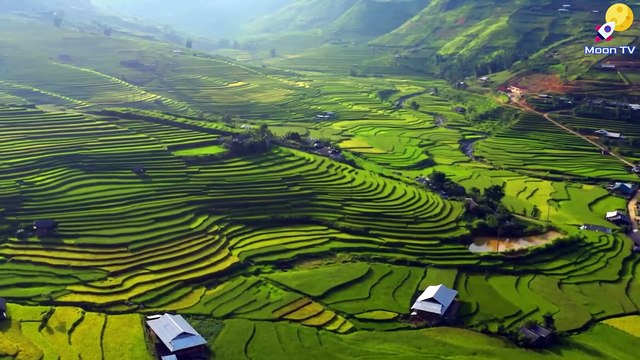 Zen Music For Deep Meditation And Enlightenment