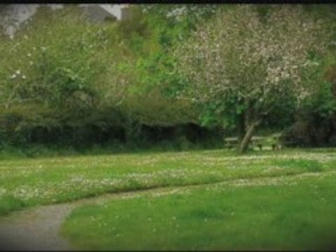 Daoulas plougastel-H.264