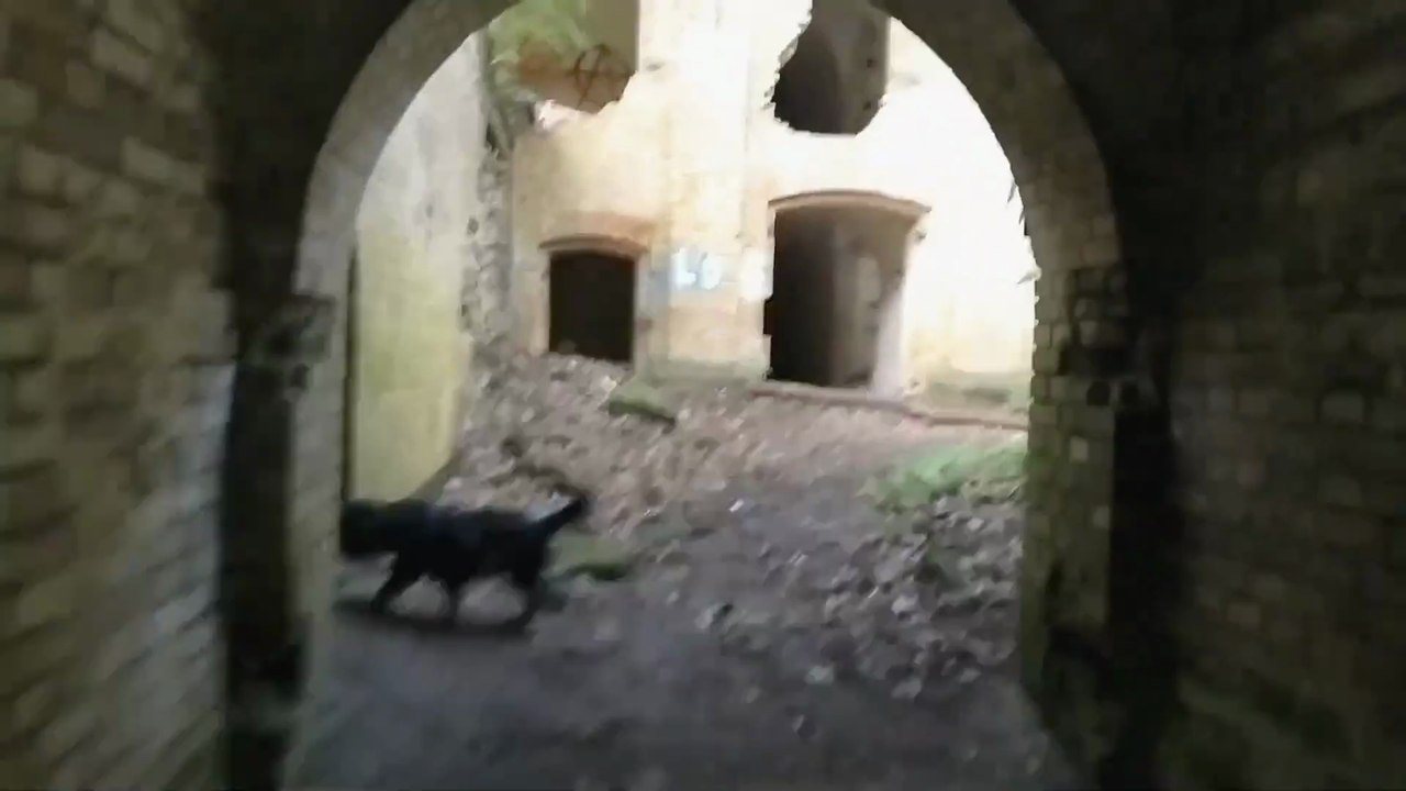 Fort Sarbinowo