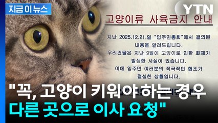 "고양이로 인해 화재"...오피스텔 '사육 금지 공지'에 갑론을박 [지금이뉴스] / YTN