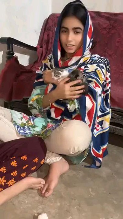 cat lover