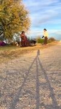 Dog Pees on Woman's Dress as She Poses for Her Maternity Shoot