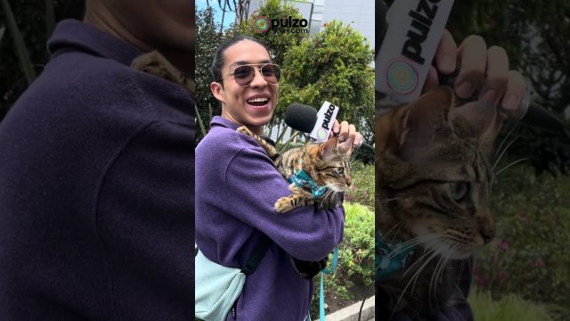 Expopet 2024: El mayor evento para amantes de mascotas en Colombia | Pulzo
