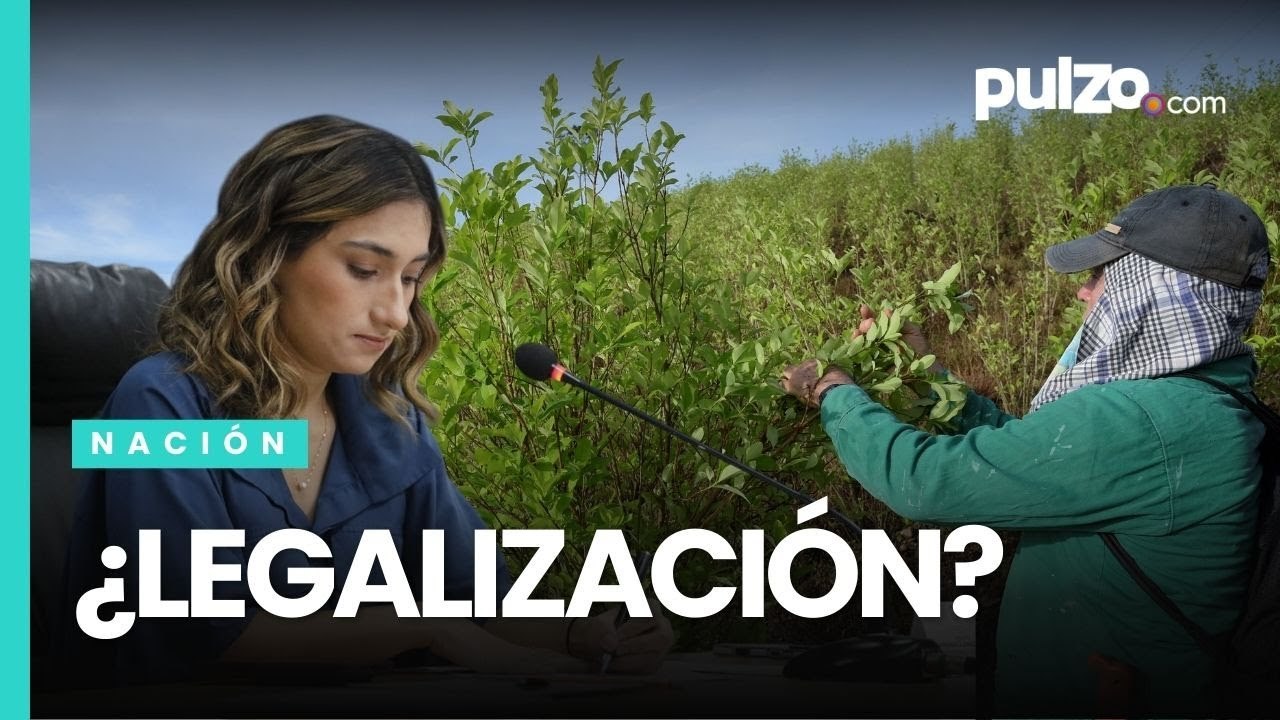 Gobierno pidió excluir la hoja de coca de lista de sustancias dañinas | Pulzo