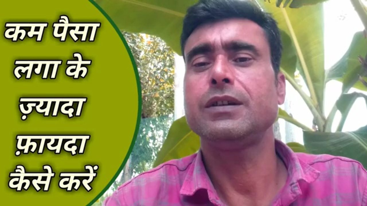 कम पैसा लगा के ज़्यादा फ़ायदा कैसे करें | poultry farm profit calculation | poultry farm profit