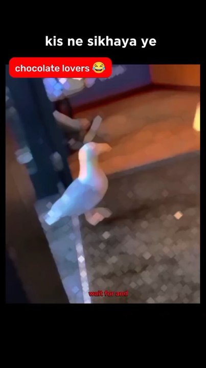 awesome thief
