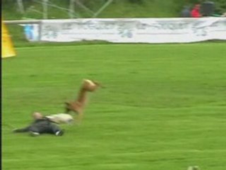 FMBB-2007-Schmidt/Boston