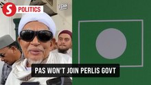 PAS won't be part of Perlis govt, Hadi stresses