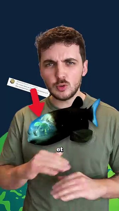 Un poisson au crâne TRANSPARENT ! #poisson #transparent #animaux #ocean #nature