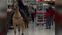 Verrückte Aktion: Duo reitet auf Pferd durch Supermarkt