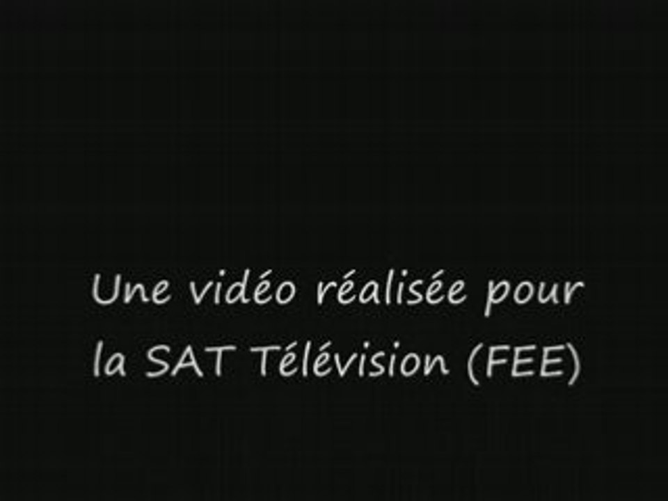 Pub FEE mio-O-FEE 88241