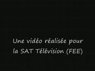 Pub FEE mio-O-FEE 88241