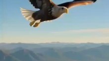 Eagle Stopped at the Last Moment! But Why? 😲🦅The eagle stopped… and did not attack!❓ Was it instinct, mercy, or something else from nature?Watch this cinematic, National Geographic–style AI wildlife video till the end.