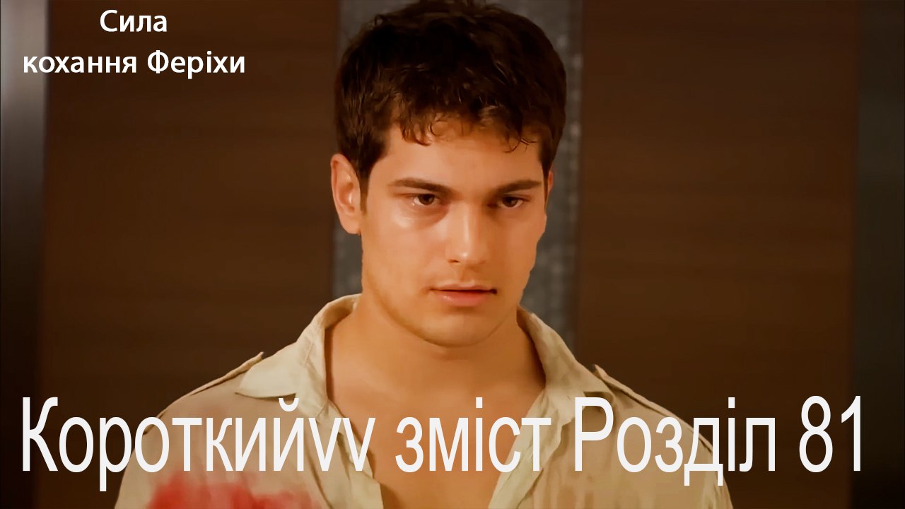 81.Розділ Короткий зміст
