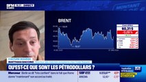 Culture Bourse : « Qu'est-ce que sont les pétrodollars ? », par Antoine Larigaudrie - 07/01