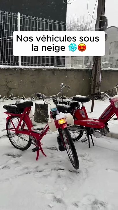 Nos véhicules sous la neige ❄️😍