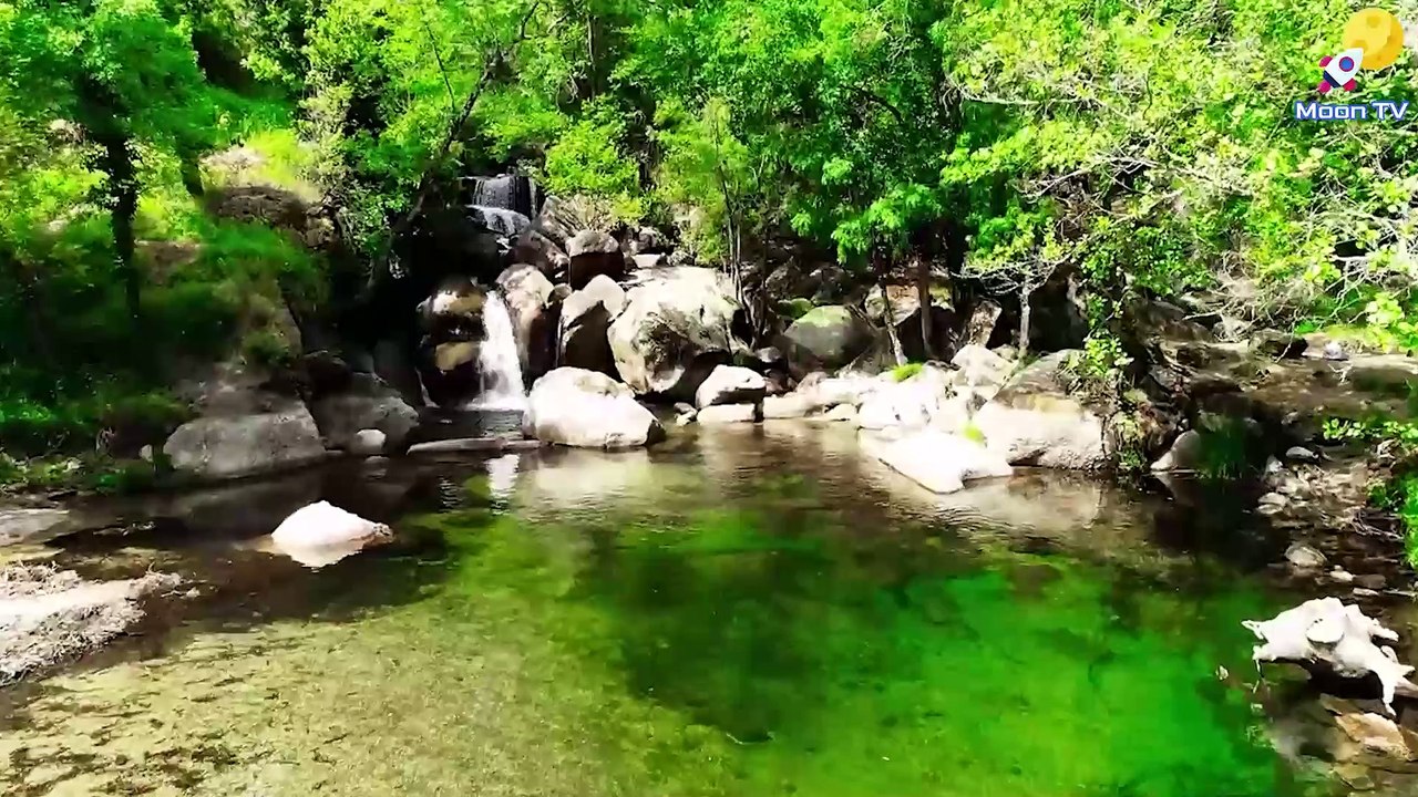 Mindfulness Music For Daily Meditation Practice