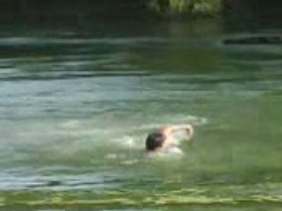 les potos