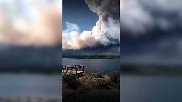 Posteo de Máximo Kirchner sobre los incendios en la Patagonia