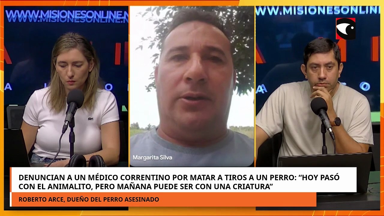 Denuncian a un médico correntino por matar a tiros a un perro