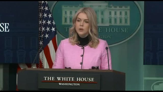 Casa Bianca: Trump sta discutendo l'acquisto della Groenlandia