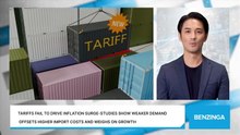 Studies Question Tariffs