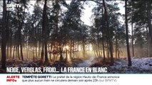 Neige, verglas, froid... La France en blanc