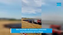 La Plata: incendio arrasó más de 10 hectáreas y amenazó viviendas
