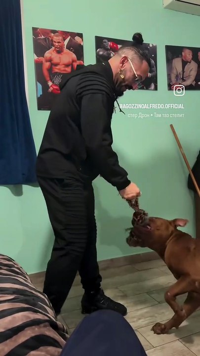 Agozzino Alfredo gioca con il suo pitbull