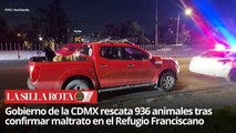 Maltrato animal en CDMX: autoridades rescatan animales del Refugio Franciscano