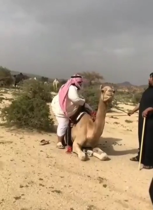 You Can’t Stop Laughing After This 😂