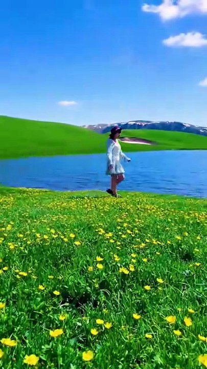 Dancing Through Sunlit Flowers