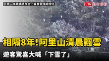 相隔8年！阿里山清晨飄雪  遊客驚喜大喊「下雪了」