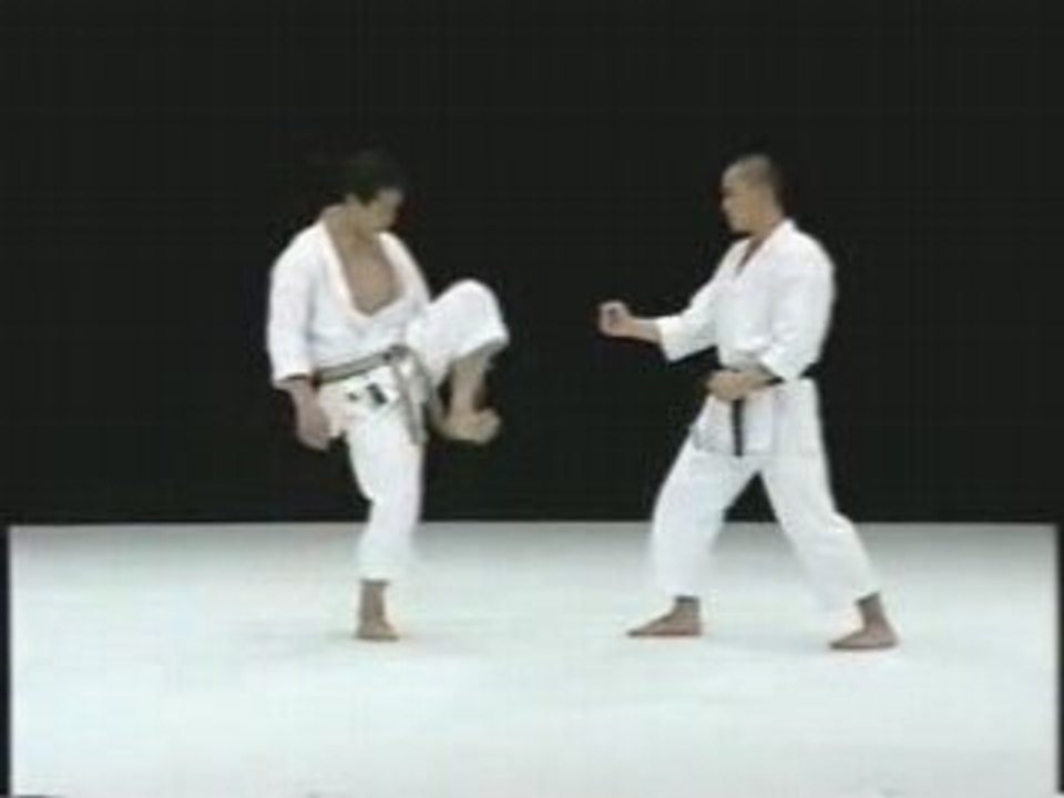 Yoko geri keage