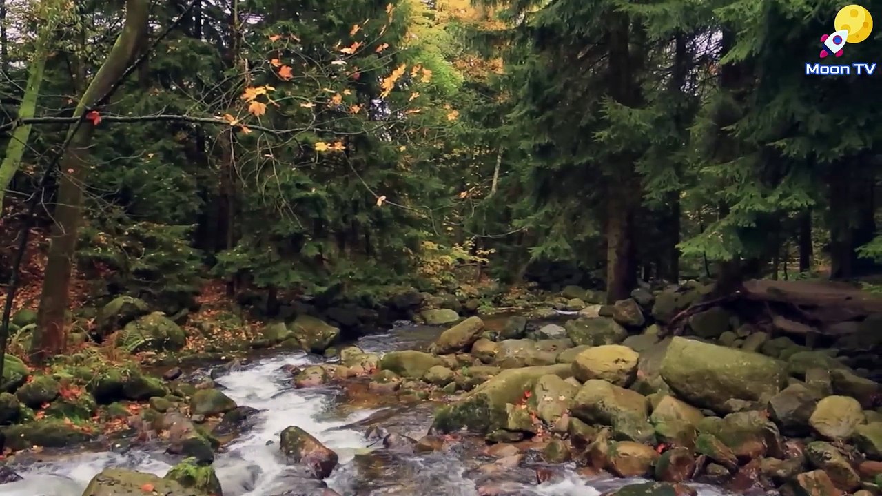 Musique De GuéRison Pour Une Transformation IntéRieure